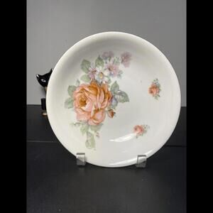 SCHWARZENHAMMER Bavaria Antique 1910 To 1923 Salad Pasta Bowl